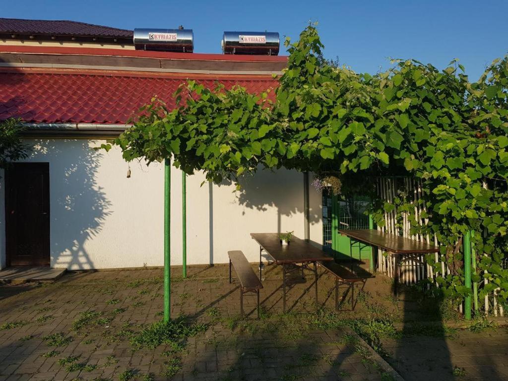 Vila Orizont Venus Exterior foto