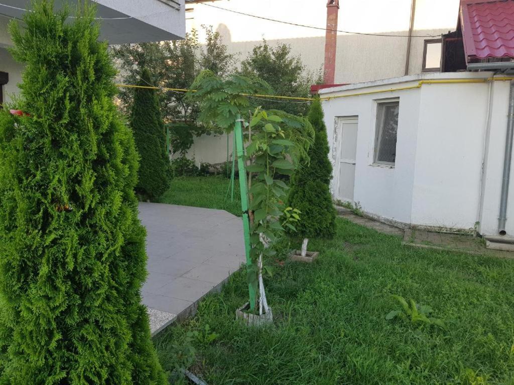 Vila Orizont Venus Exterior foto
